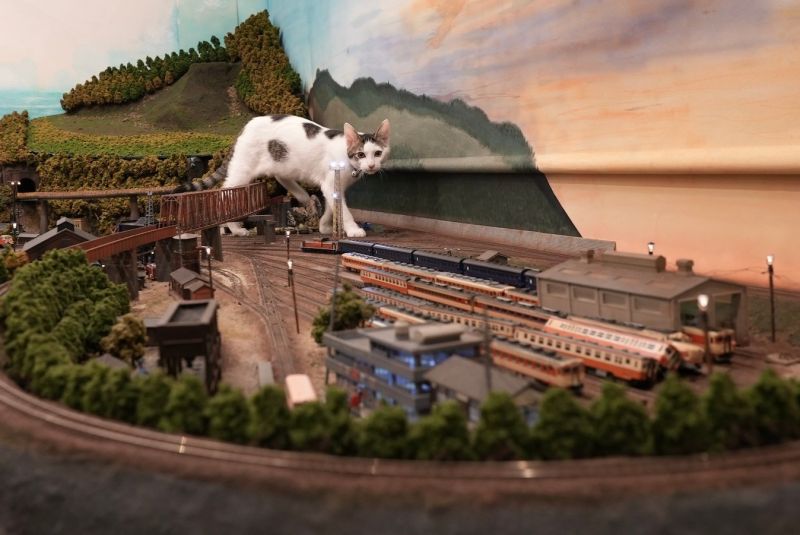 meo-o-Diorama-Tetsudokan-Shokudou-6 meo-o-Diorama-Tetsudokan-Shokudou-6